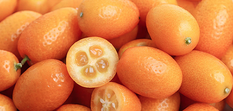 Кумкват и Каламондин